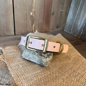 handmade full grain leather dog collar Canada with solid brass buckle