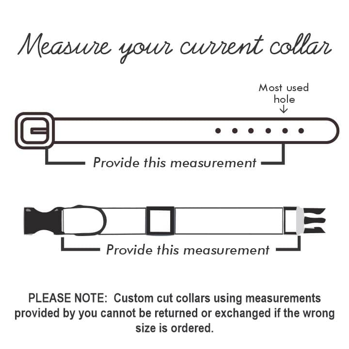 diagram on how to measure a dog collar