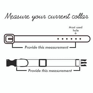 diagram on how to measure a dog collar